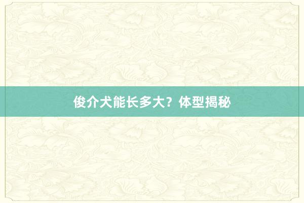 俊介犬能长多大？体型揭秘