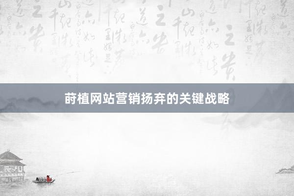 莳植网站营销扬弃的关键战略