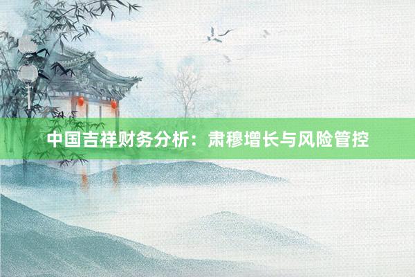 中国吉祥财务分析：肃穆增长与风险管控